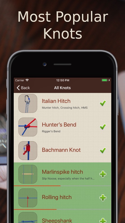 Animated 3D Knots screenshot-3