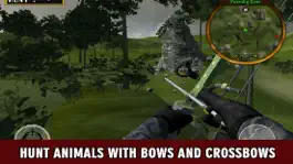 Game screenshot Bowman Hunting Animal 3D hack