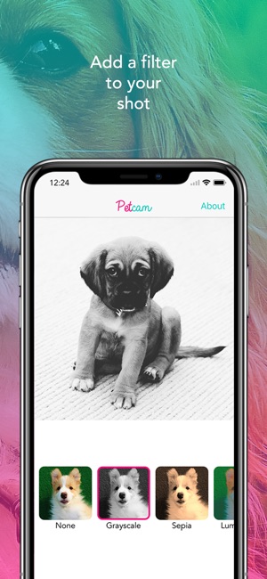 Petcam - Pet Camera(圖4)-速報App