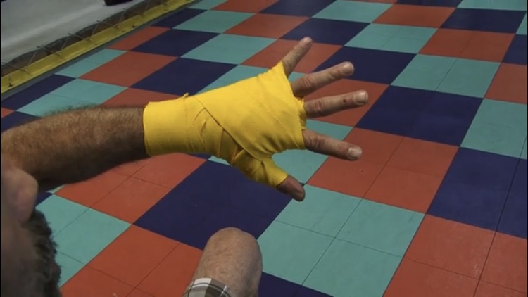 Boxing The Sweet Science screenshot-4
