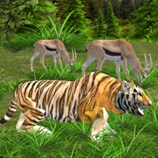 Activities of Wild Tiger Simulator