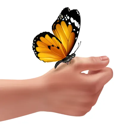 Sweet Butterfly Stickers Читы