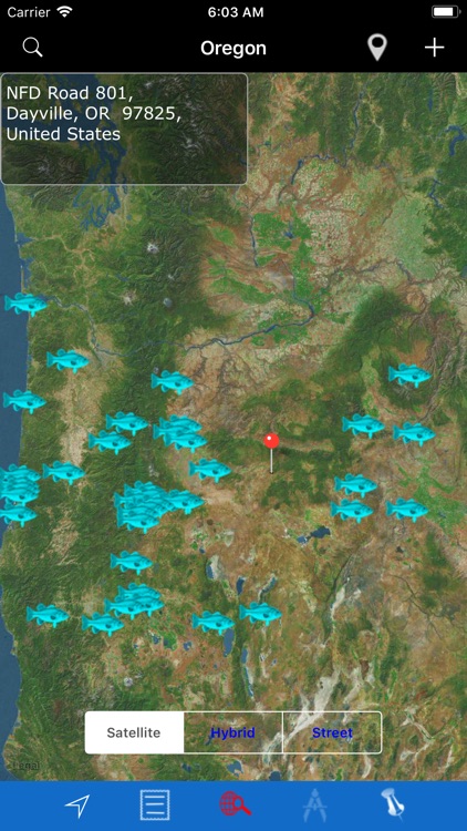 Oregon: Lakes & Fishes screenshot-4
