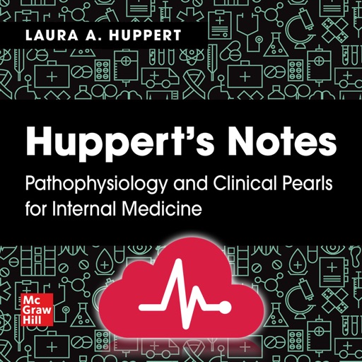 Huppert's Notes