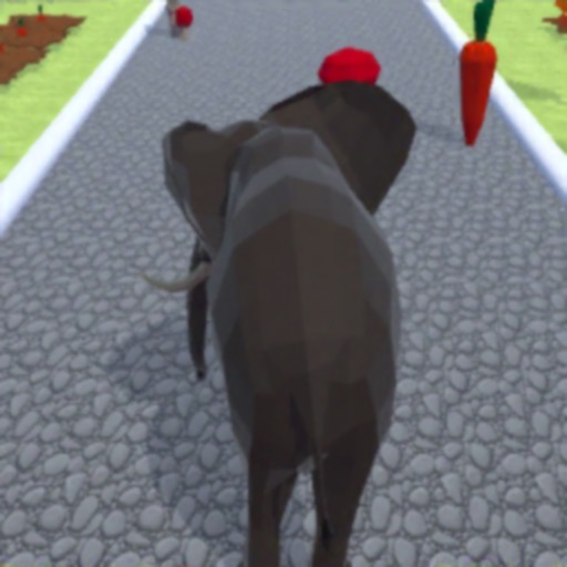 Animal Body Race Walking Game icon