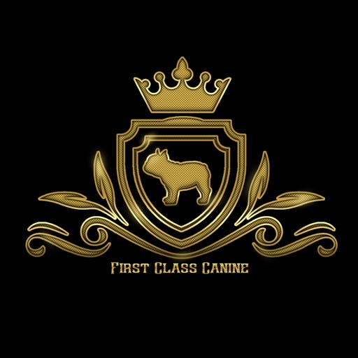 First Class Canine Services