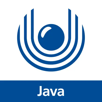 Java Cheats