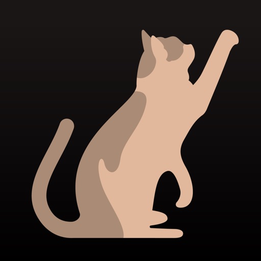 MOTI Download