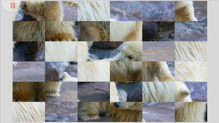 Tile Puzzle Baby Animals screenshot-3