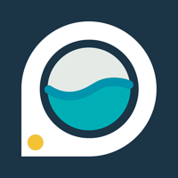 Easy Wash Bermuda Agent