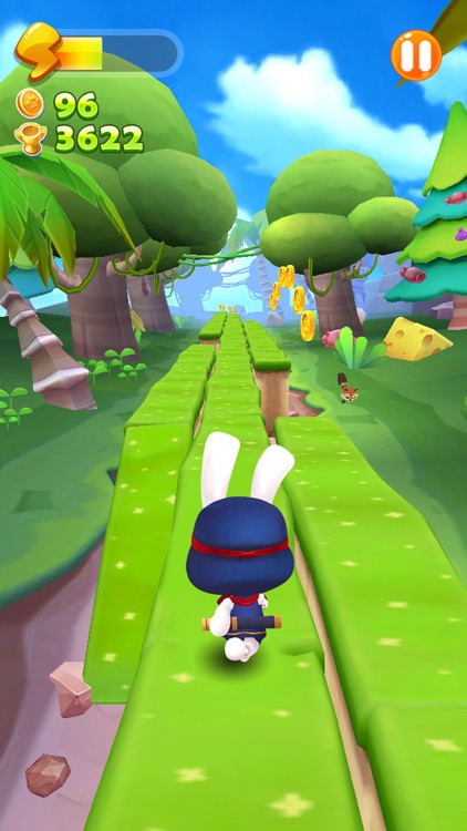 Run Ninja Rabbit Run