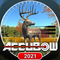 Accubow 2021 Wiki