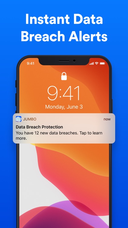 Jumbo: Security + Privacy