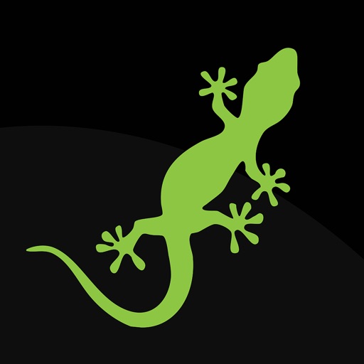 NEWT mobile-office Download