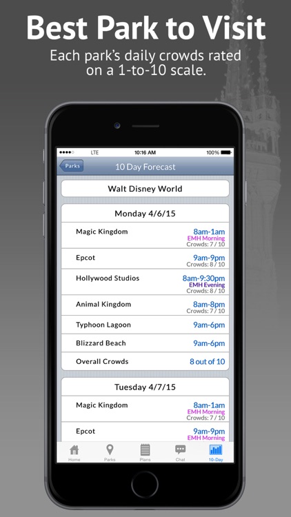 Disney World Lines (TP)