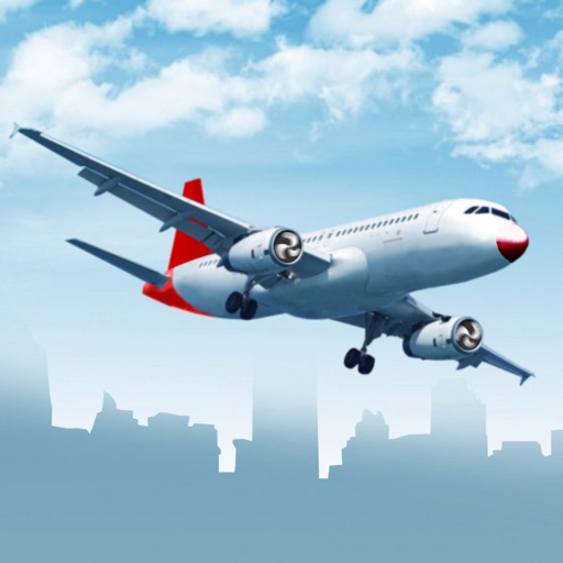 Airplane Landing icon