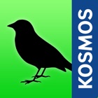 Top 40 Reference Apps Like Birds of Europe Guide - Best Alternatives
