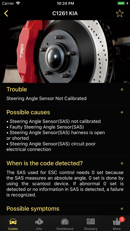 Diagnostic for KIA screenshot-8