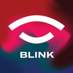 BLINK Team