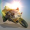 Rooftop Riders is an ultimate car chasing game which is a seamless blend of shooting, car chasing and motorcycle racing elements