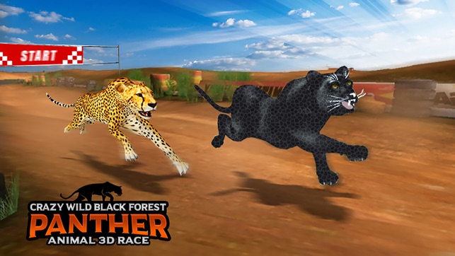 Crazy Wild Black Panther Race(圖5)-速報App