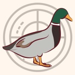 Manok Sounds for Duck