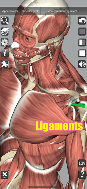‎Screenshot ng 3D Anatomy