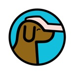 Good Dogs Training