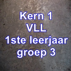 Activities of Kern1-VLL