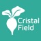 L’application Cristal Field est un outil simple et collaboratif qui est dédié aux coopérateurs de Cristal Union ainsi qu’à leurs partenaires et qui permet de déclarer des interventions sur les parcelles de betteraves en mode connecté / déconnecté directement sur le terrain, en plein champ