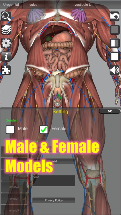 3D Anatomy screenshot-6