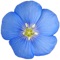 High Country Apps is proud to support the Colorado Native Plant Society (www