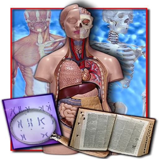 Medical Terminology Quizzes iOS App