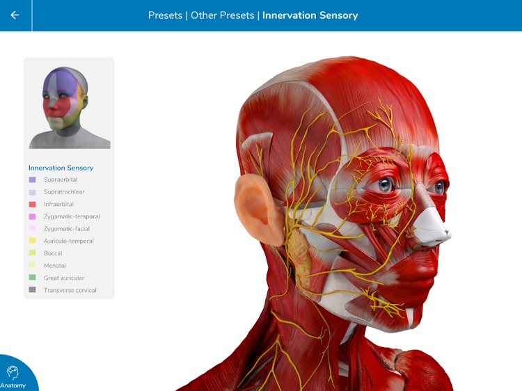 Beut & Jelks Oculoplasty screenshot-3