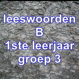 LeeswoordenB