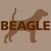 Catálogo Beagle
