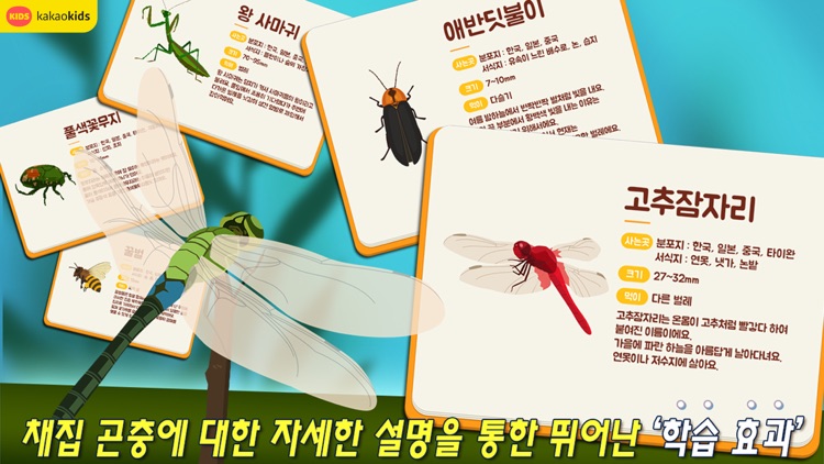 곤충의 숲 screenshot-3