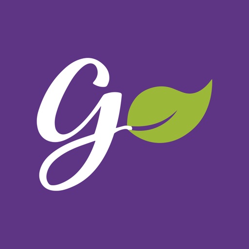 Granola Icon