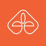 Emart by BAZAR