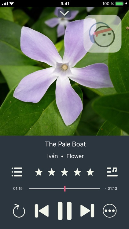 Next Song Music Player screenshot-4