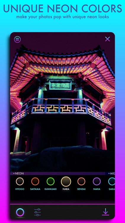 Neoncam