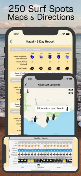 Game screenshot Hawaii Surf Reports apk