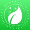 Icon Plant Finder Tree identifer