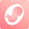 Icon My Baby Heartbeat Rate Tracker