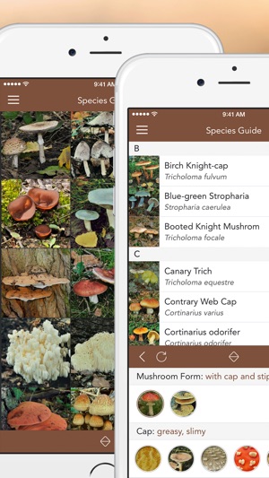 Mushroom LITE - Field Guide(圖2)-速報App