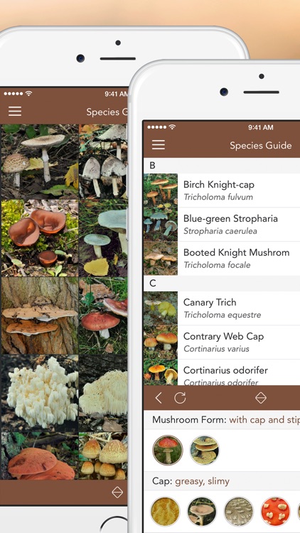 Mushroom LITE - Field Guide