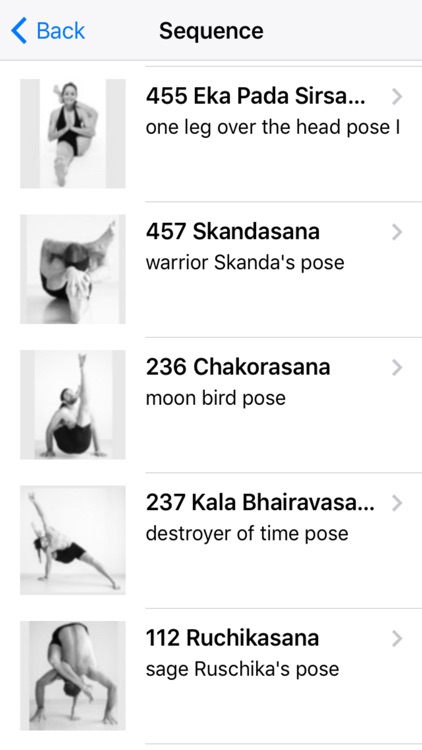 Skanda Yoga Practice screenshot-6