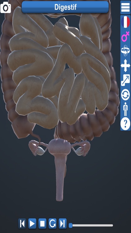 Educational Anatomy 3D