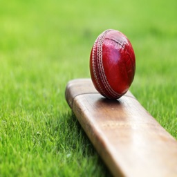 T20 Blast 2018 Cricket Betting