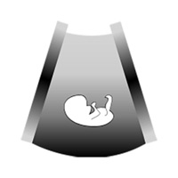 Calculador Ecográfico